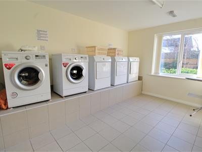 Picture 15